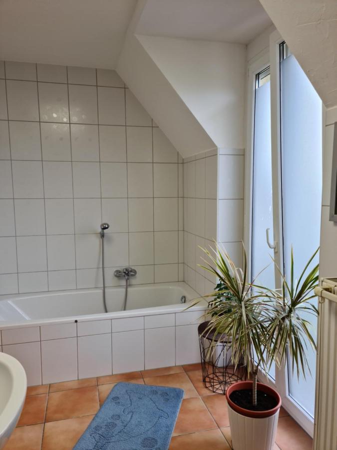 Lichtdurchflutetes Zimmer - Marienberg Apartment Waldbuttelbrunn Екстериор снимка